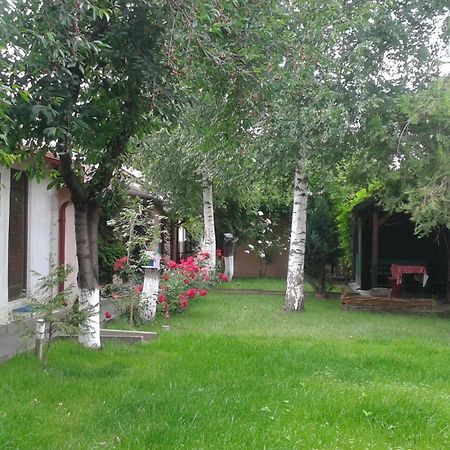 Camping Paradisul Soferilor أونيشتي المظهر الخارجي الصورة