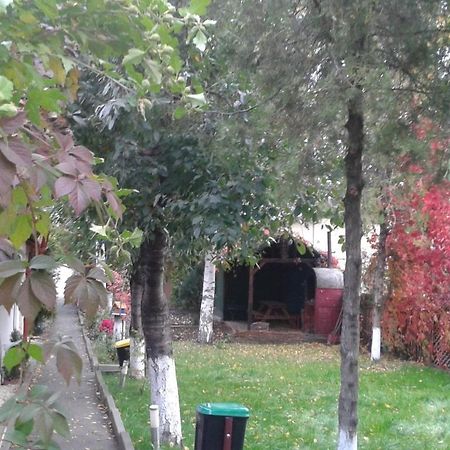 Camping Paradisul Soferilor أونيشتي الغرفة الصورة