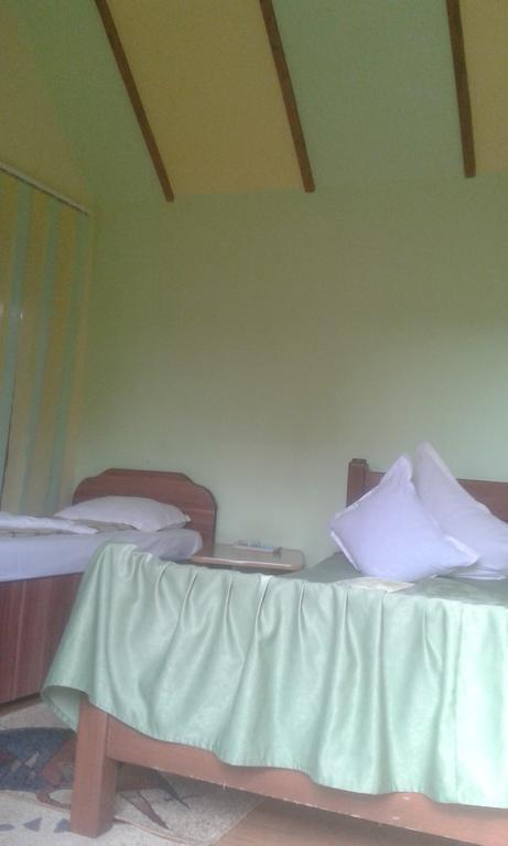 Camping Paradisul Soferilor أونيشتي المظهر الخارجي الصورة