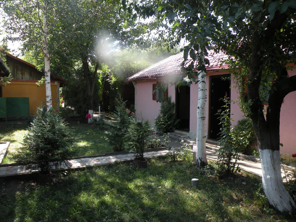 Camping Paradisul Soferilor أونيشتي المظهر الخارجي الصورة